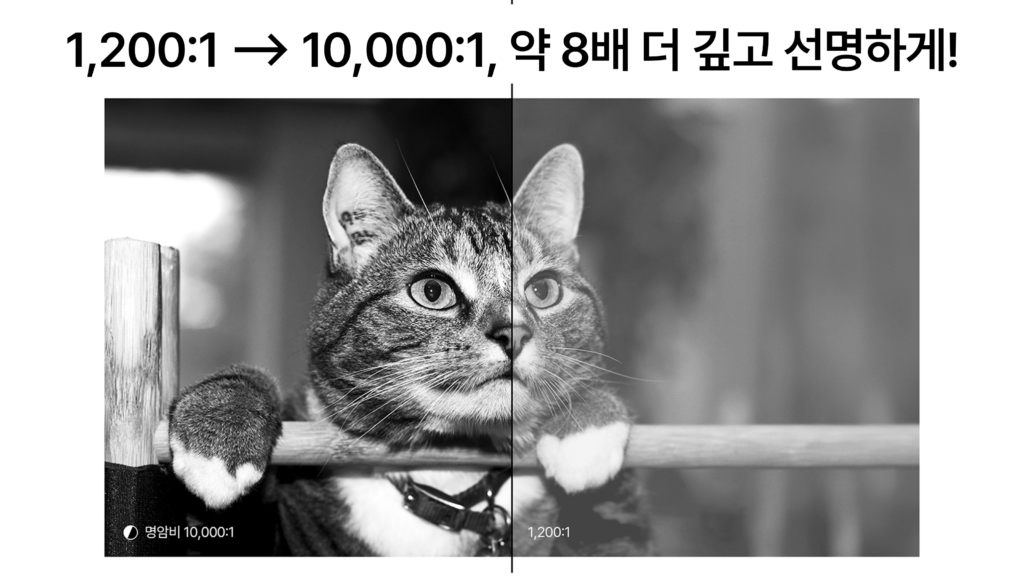 AX135-더깊고선명한명암비